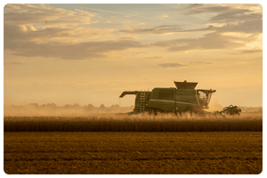 agro agro